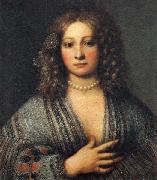 Girolamo Forabosco Portrait of a Woman oil painting